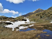 38 Bel valloncello con neve in disgelo, belle pozze d'acqua,distese di  Crocus vernus 